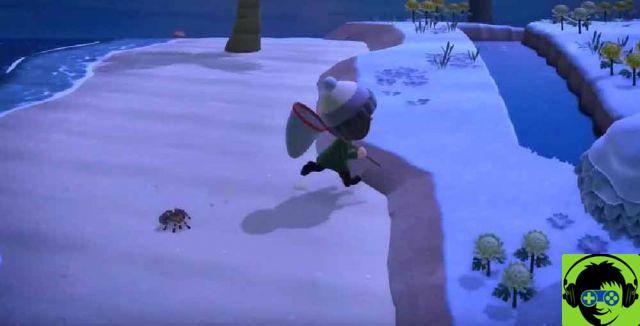 Animal Crossing New Horizon 11 Tarefas Diarias