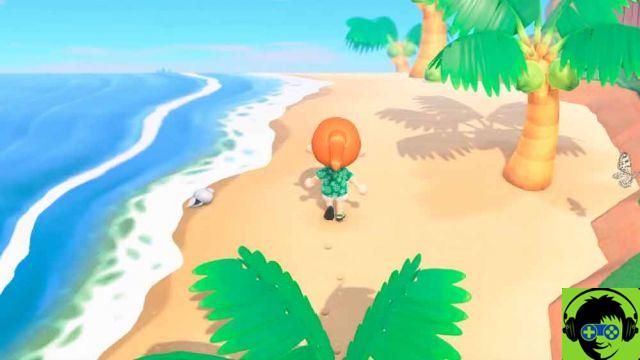 Animal Crossing New Horizon 11 Tarefas Diarias