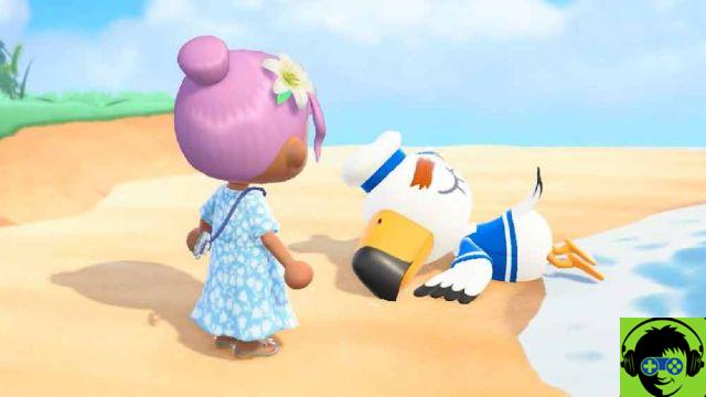 Animal Crossing New Horizons: Hacer 11 Tareas Diarias