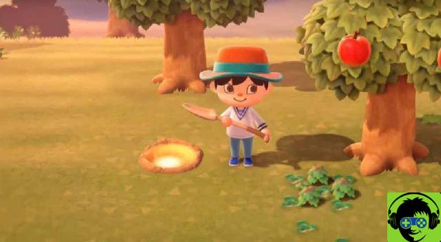 Animal Crossing New Horizons: Hacer 11 Tareas Diarias