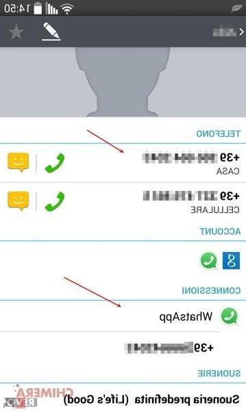 Contatti non visualizzati in WhatsApp: le soluzioni