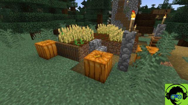 Cómo tallar una calabaza en Minecraft