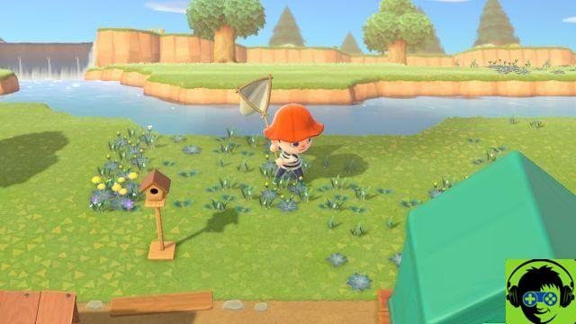 How to Sneak and Catch Bugs in Animal Crossing: New Horizons