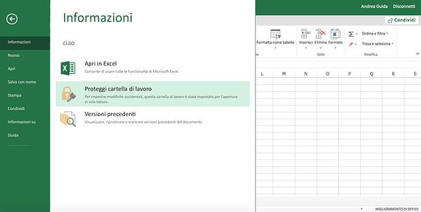 How to put the password to an Excel file