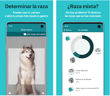 Le migliori app per identificare gli animali