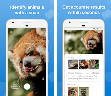 Le migliori app per identificare gli animali