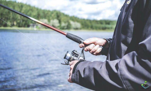 10 migliori app di pesca su Android