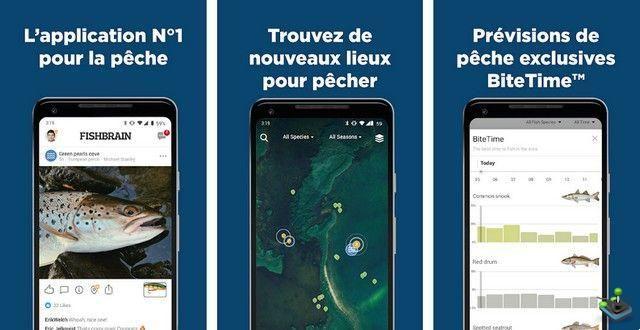 10 migliori app di pesca su Android