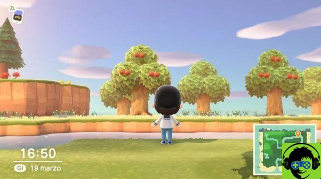 Animal Crossing: New Horizons - Trucs et astuces pour démarrer