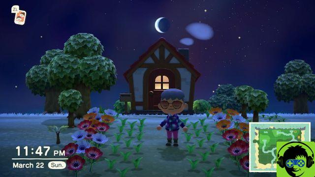 Animal Crossing: New Horizons - What to do with flowers