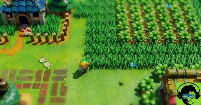 Legend of Zelda: Link Awakening su Switch - Come sbarazzarsi di Raccoon in Mysterious Forest