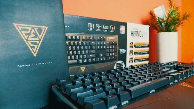 Revisión de Gamdias Hermes P1 • Teclado mecánico para juegos RGB