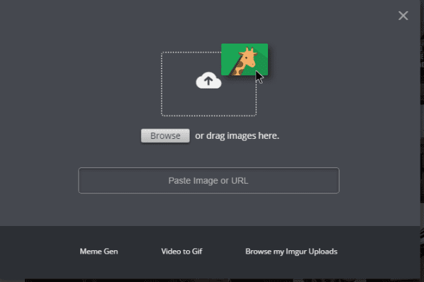 How to host an image